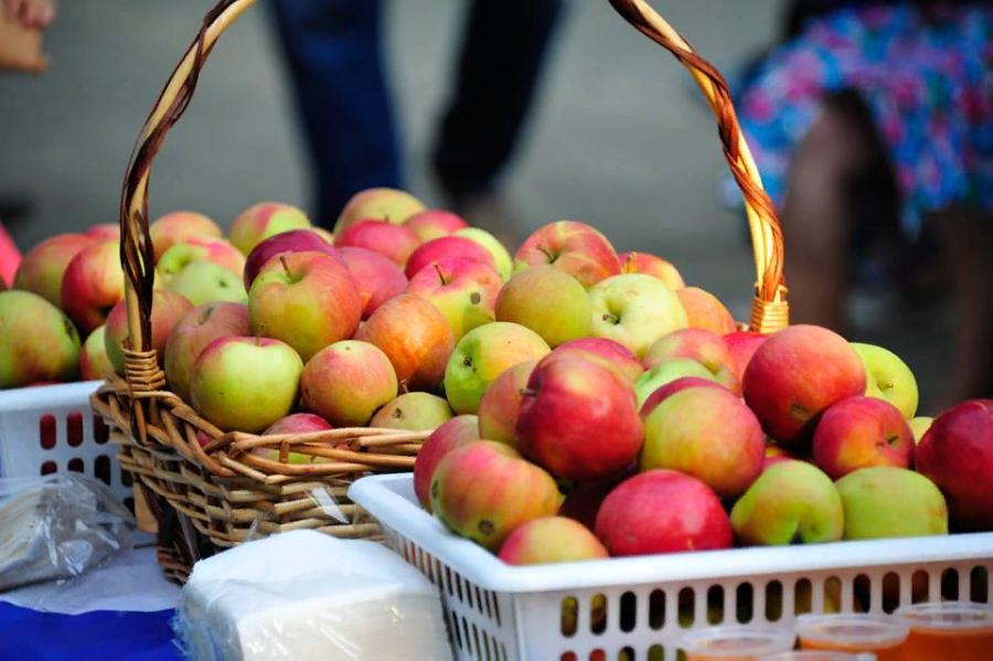 Пробная партия тамбовских яблок доставлена в сеть ресторанов Москвы