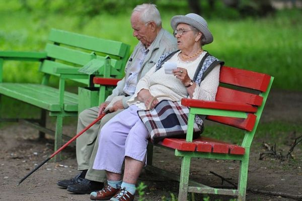 Глава ПФР рассказал о сокращении числа пенсионеров в 2019 году