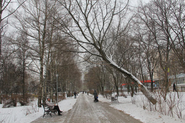 Синоптики прогнозируют новые температурные рекорды в Центральной России