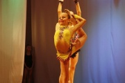 В Тамбове прошел фестиваль спортивных танцев, художественной гимнастики и аэробики
