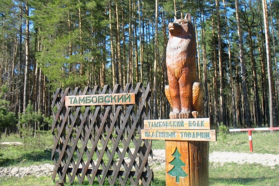 Скульптура Тамбовского волка претендует на победу в конкурсе самых необычных памятников России
