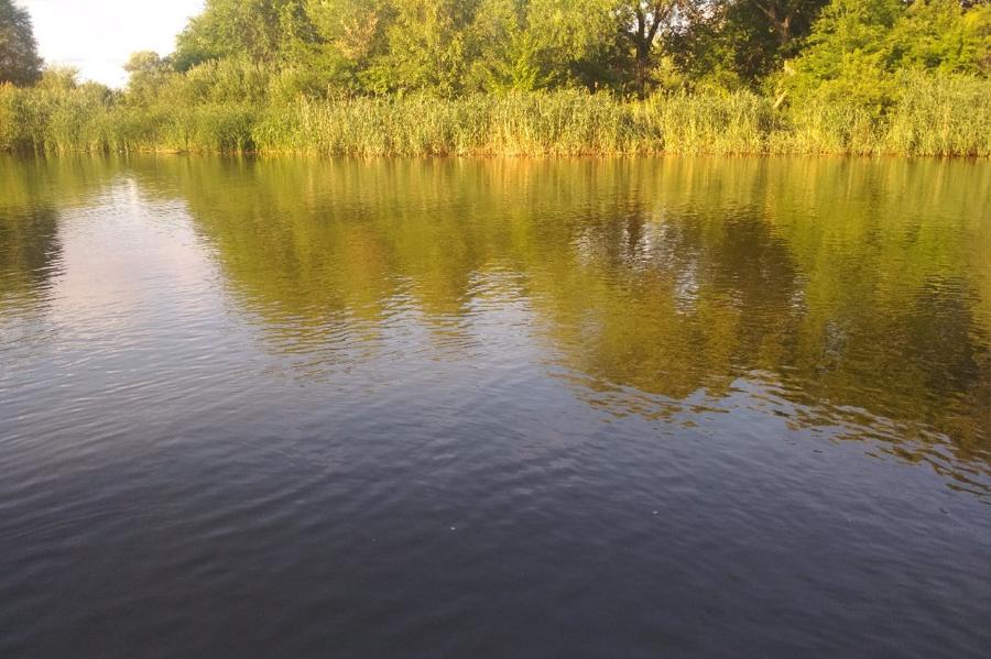 Уровень воды в водохранилище в Тамбовской области понизили до критической нормы