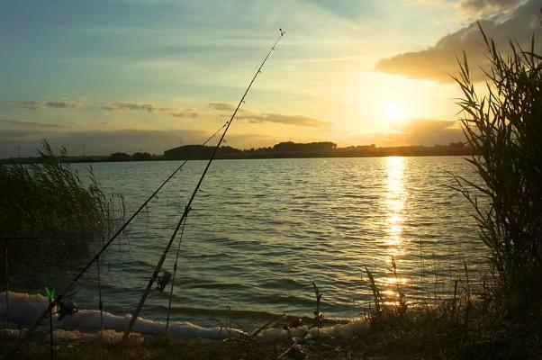 Опрос ИА "Онлайн Тамбов.ру" показал, что большинство не ездят на рыбалку