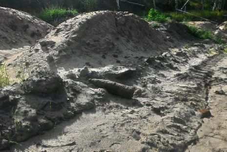 В Тамбовской области сапёры уничтожили артиллерийский снаряд