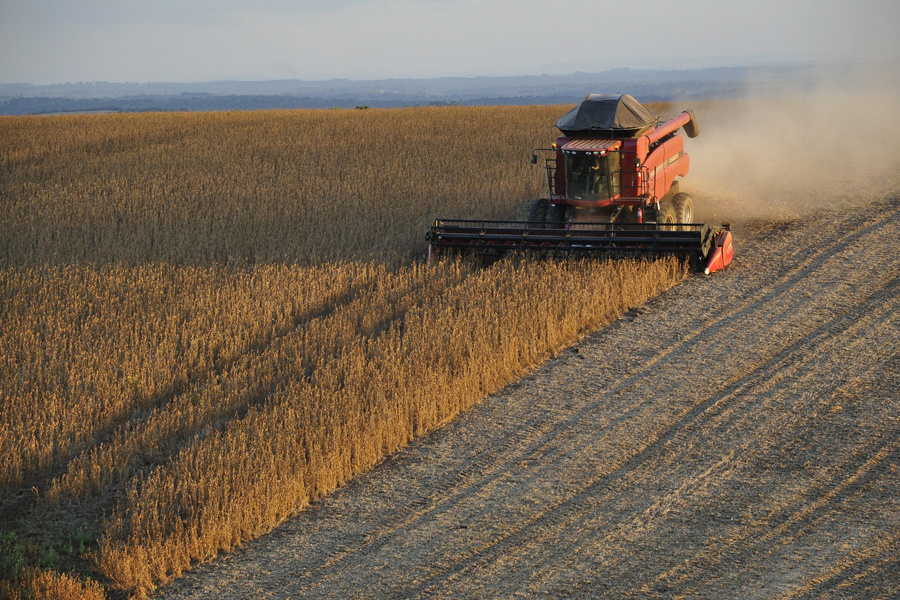 В Тамбовской области наблюдается высокая урожайность зерновых культур
