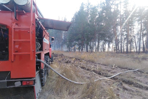 Тамбовские спасатели оказывают помощь Воронежской области в тушении пожаров 