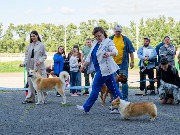 DSCF9199.jpg