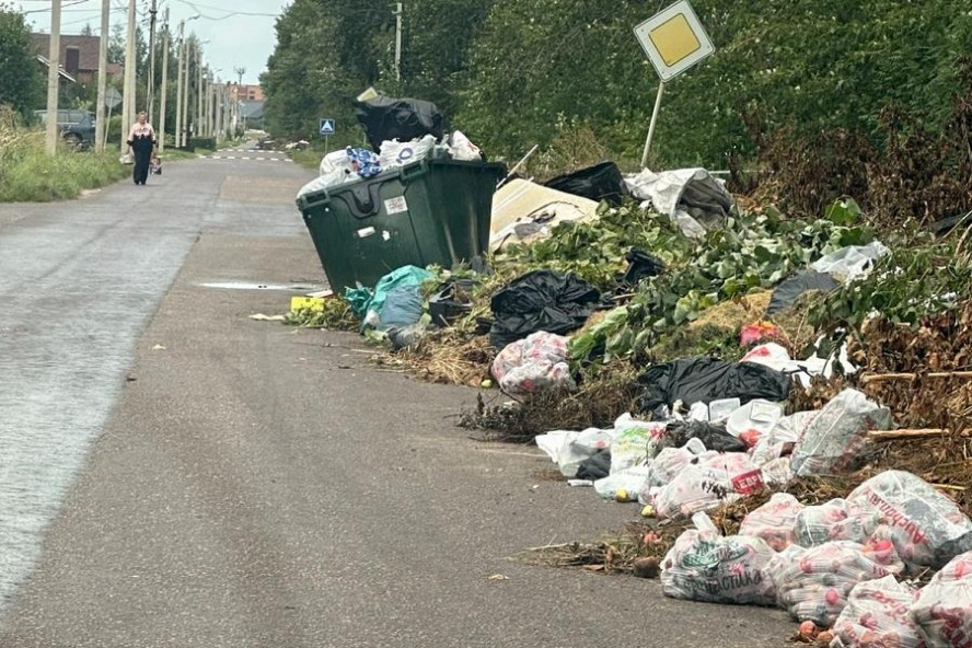 Жители "Солнечного" выступают против мусорных куч в своём микрорайоне 