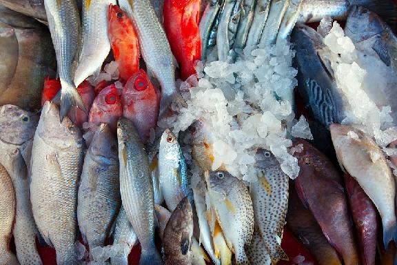 В Тамбовской области сняли с продажи 226 килограммов рыбы и морепродуктов