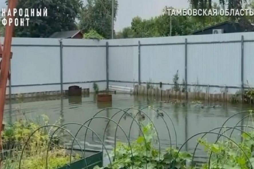 Почти десять лет участки тамбовских дачников утопают в канализационных водах