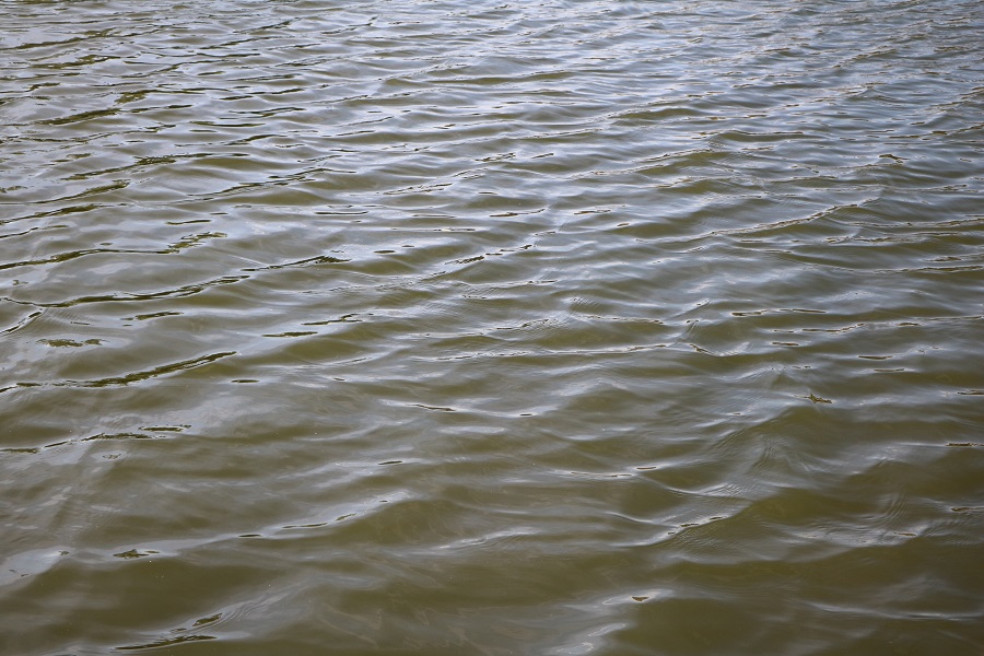 Собственник ГТС самовольно понизил уровень воды в пруду Моршанского района