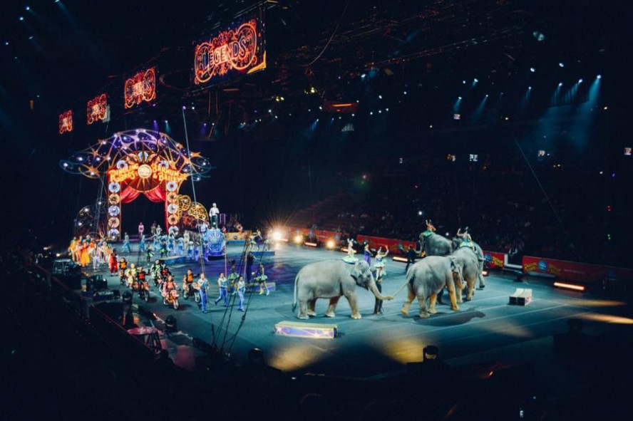 В России хотят запретить цирк с животными