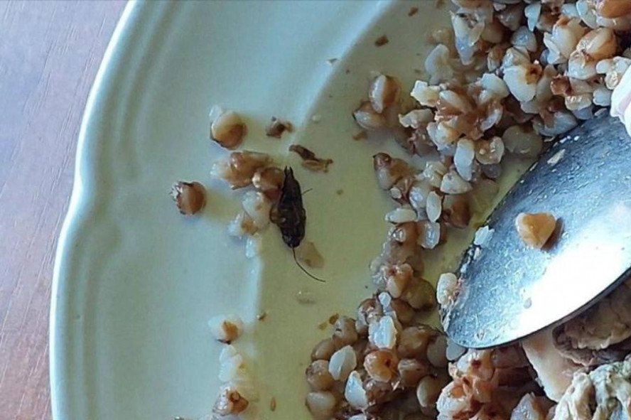 Тамбовский колледж проверили после публикации снимка тарелки с тараканом