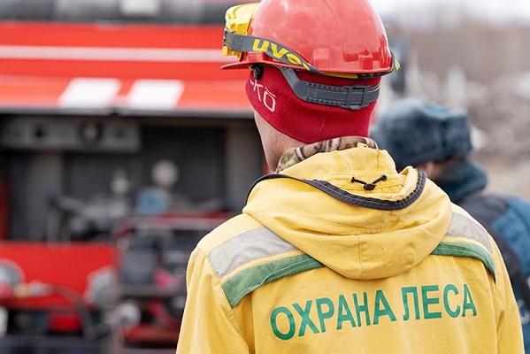 В России в 2021 году усовершенствуют систему охраны лесов от пожаров