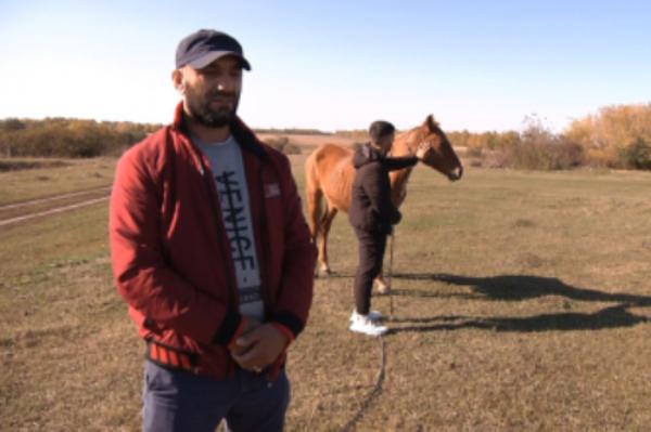 У тамбовского фермера угнали трех лошадей стоимостью 300 тысяч рублей