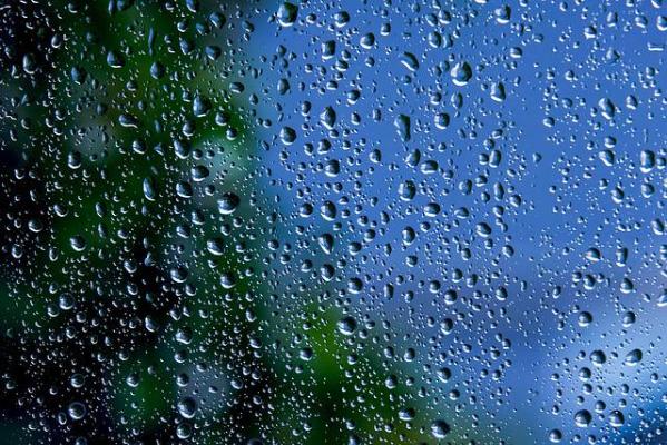 Синоптики прогнозируют дожди в Тамбове в выходные