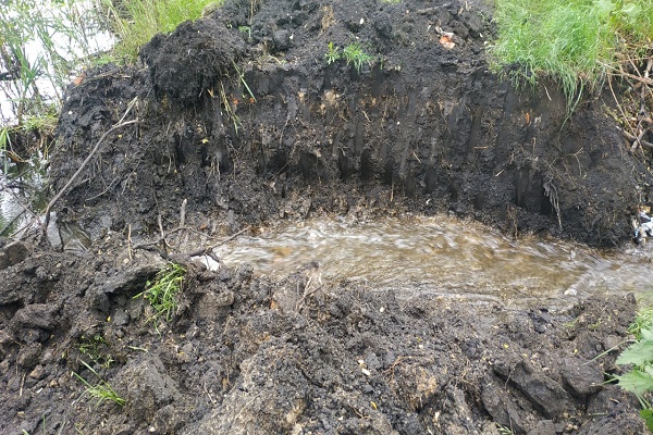 Во время поисков подростка в Сосновском районе осушили пруд
