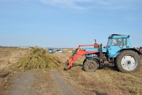 В Тамбовской области полицейские уничтожили 3 гектара дикой конопли