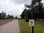 IMG_20200709_102349.jpg