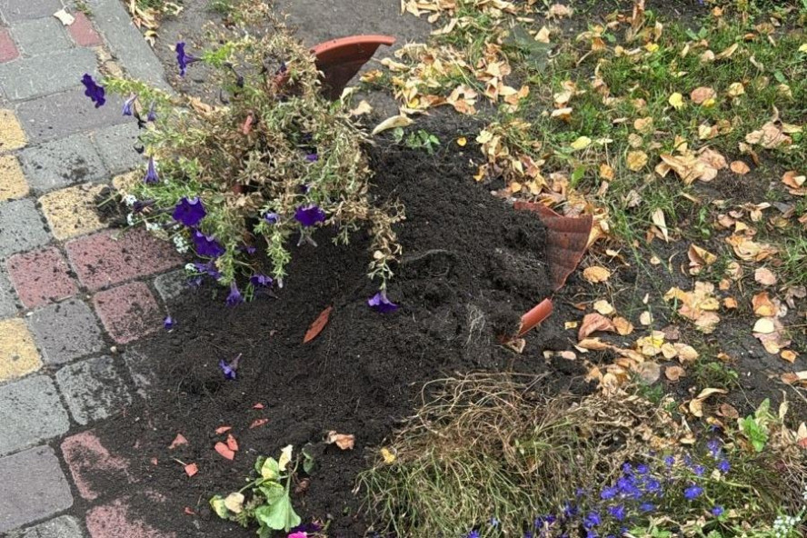 В городском парке культуры и отдыха Тамбова произошла серия актов вандализма
