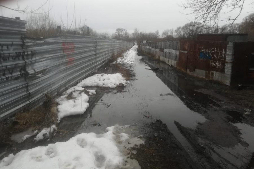 Тамбовчане пожаловались на сброс канализационных вод в реку Жигалка