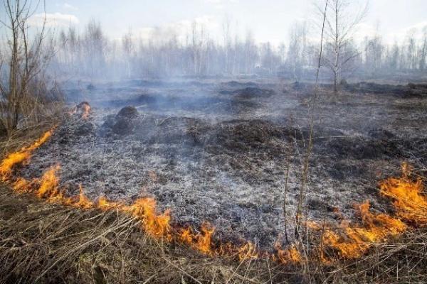 В Тамбовской области сохраняется чрезвычайная пожарная опасность