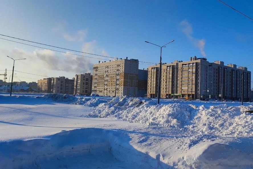 Итоги дня: ремонт дорог за 300 млн рублей, контракт на отлов бездомных животных, "бронза" тамбовской дзюдоистки