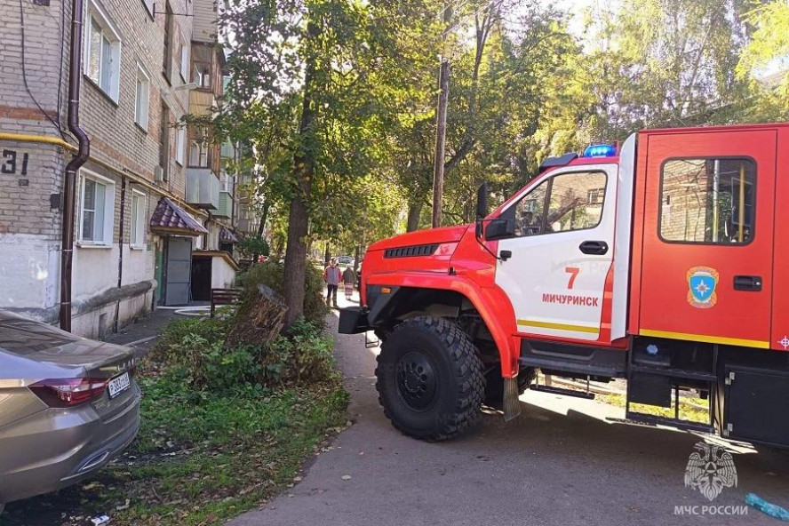 В Мичуринске при пожаре погибли пожилая женщина и двое малолетних детей