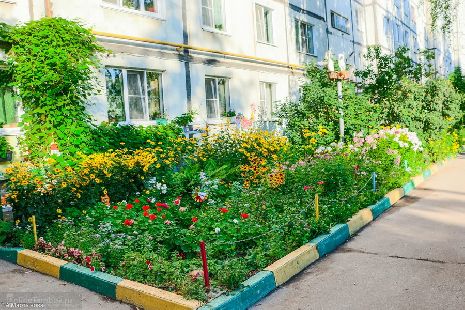 Благоустройство дворовых территорий в Тамбовской области планируют завершить до 15 сентября