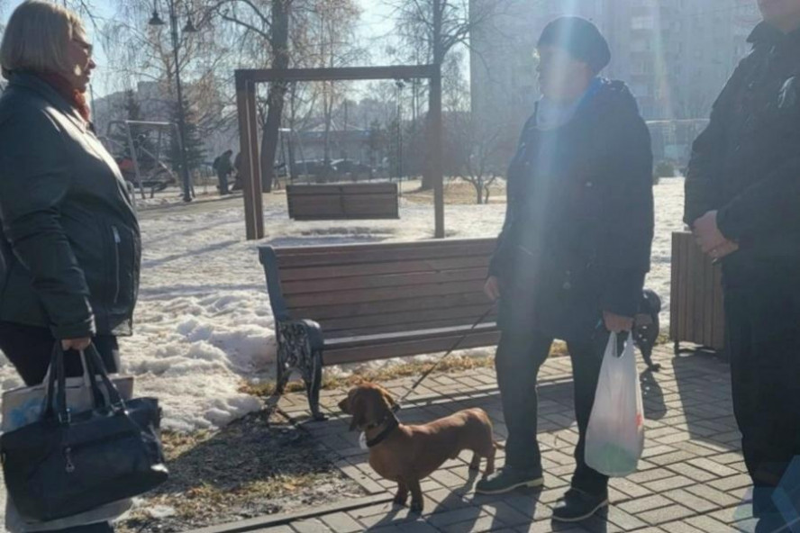 Тамбовчанам напомнили правила выгула питомцев