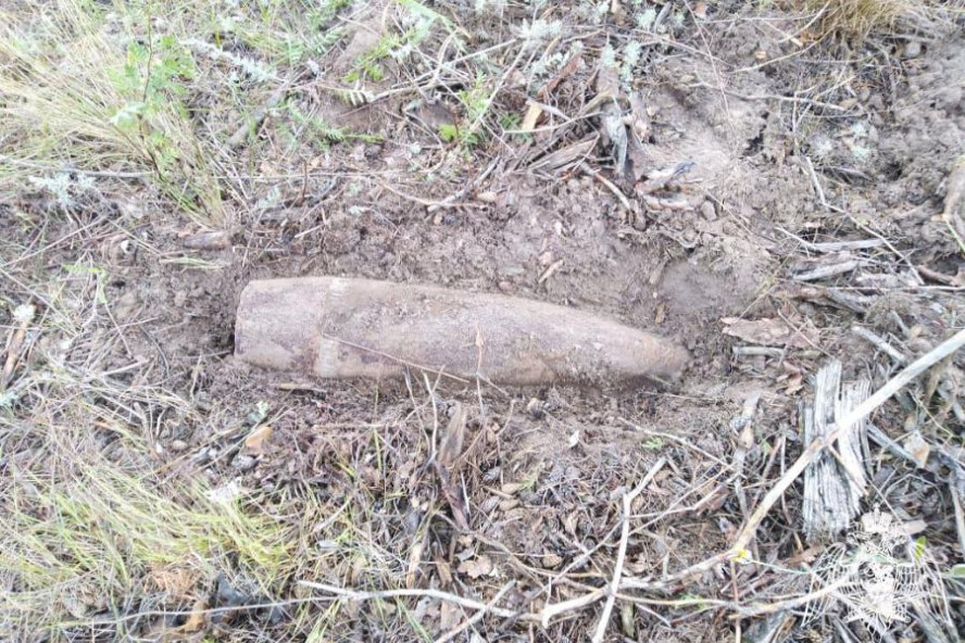 В лесу в Рассказово найден артиллерийский снаряд