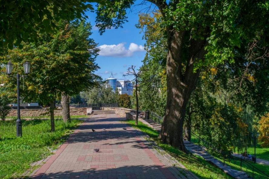 Погода в Тамбове в выходные: тепло и кратковременный дождь