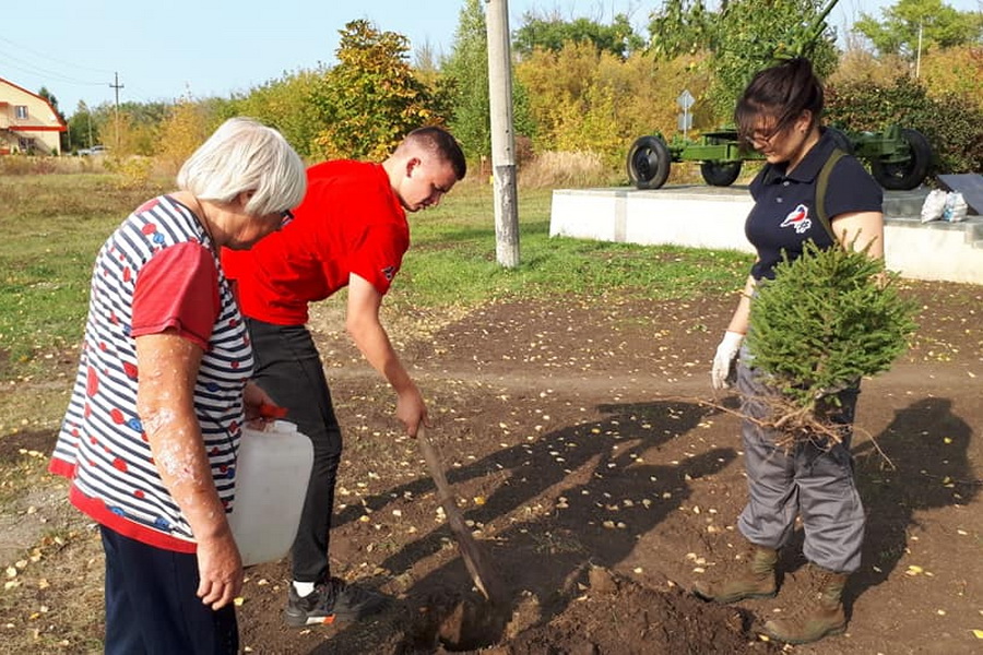 Активисты ОНФ в Мичуринске высадили саженцы ели и дуба у памятника зенитчицам