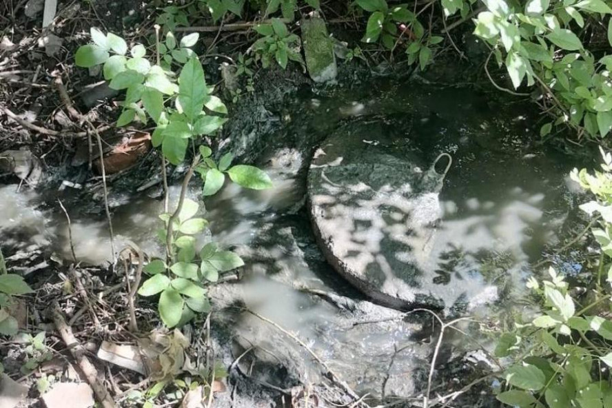 В реку Жигалка до сих пор попадают канализационные стоки