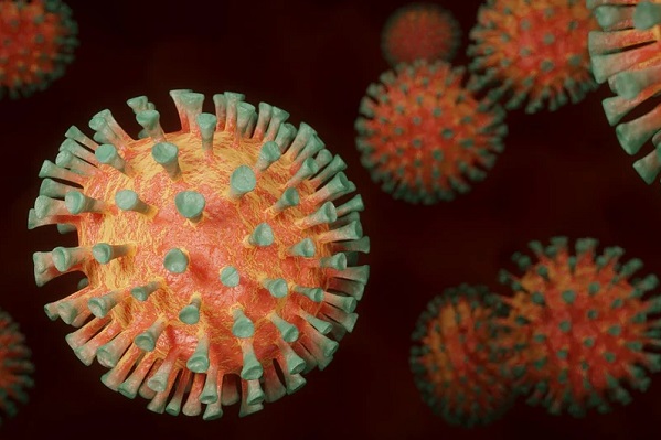 Песков назвал коронавирус "реальной штукой"