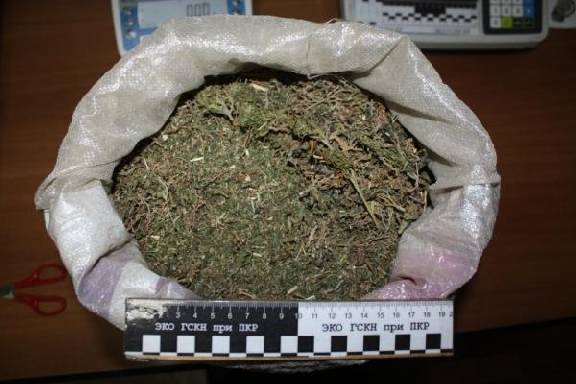 У жителя Мичуринска изъяли 2,5 кг марихуаны