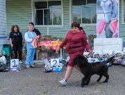 DSCF9074.jpg