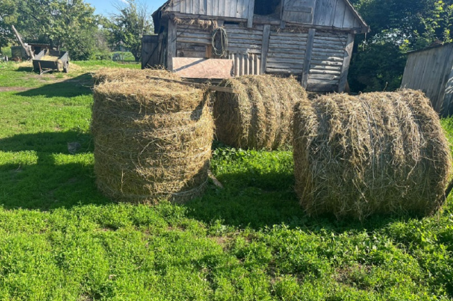 В Тамбовской области с поля сельхозкооператива украли тонну сена