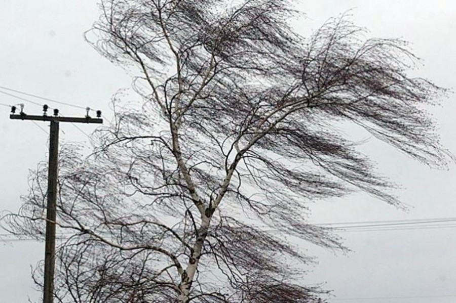 В ближайшие часы в Тамбовской области ожидается штормовое усиление ветра