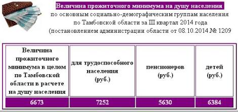 Прожиточный минимум на душу населения новосибирск. Прожиточный минимум в Тамбовской области. Прожиточный минимум на ребенка. Детский прожиточный минимум в Тамбове.