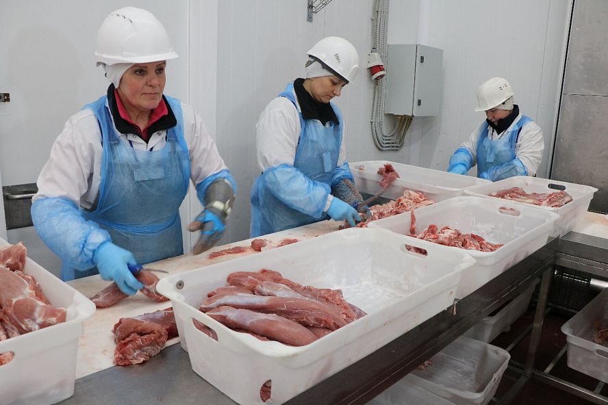 Убойное и мясоперерабатывающее производство в селе Борщевка - 12