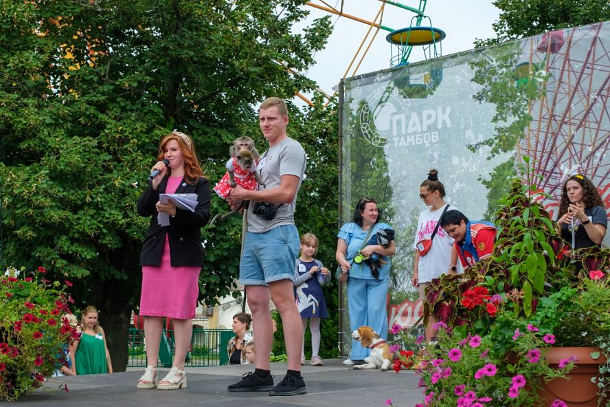 Парад-променад домашних животных - 11