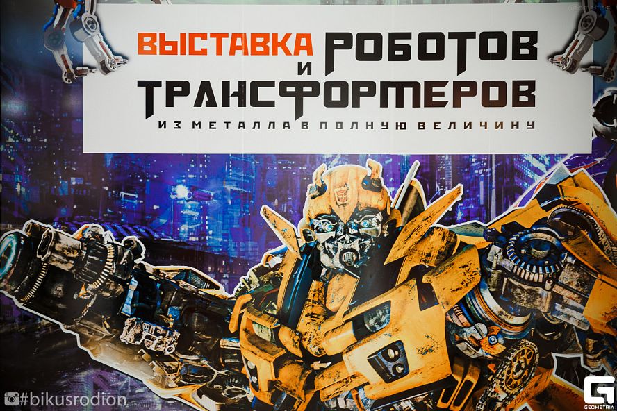 Выставка роботов в Тамбове - 13