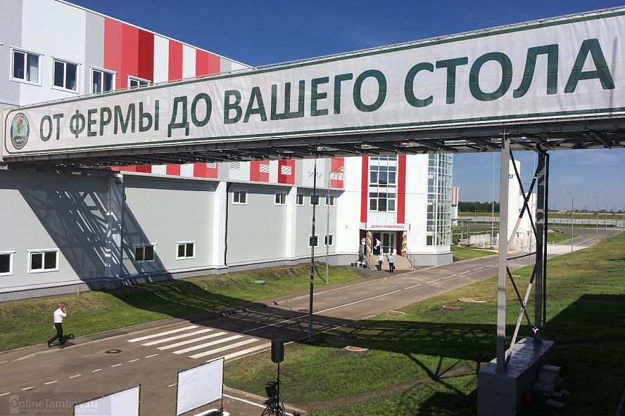 Ашан-Россия, открытие центра распределения в Тамбове - 14