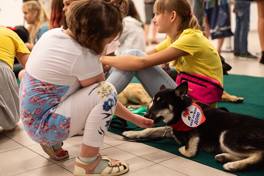 Праздник "Доброе сердце" - 22