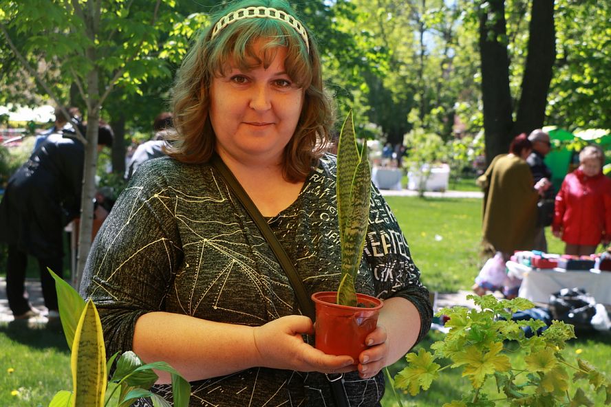 Фестиваль цветов, 2018 - 19