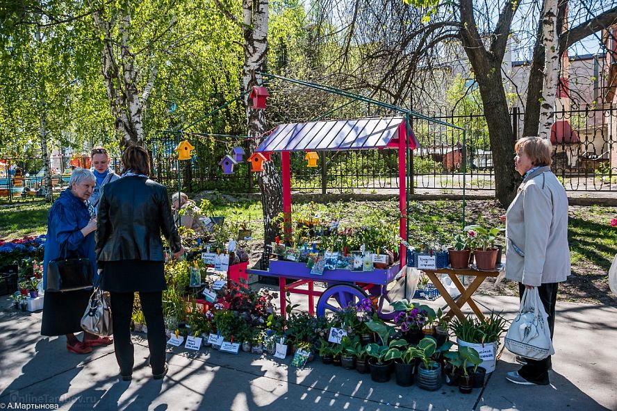 Фестиваль цветов в Тамбове - 1