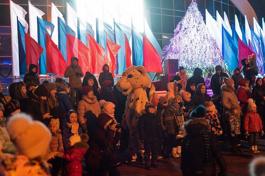 Новогодняя поляна в Тамбове (2019) - 3
