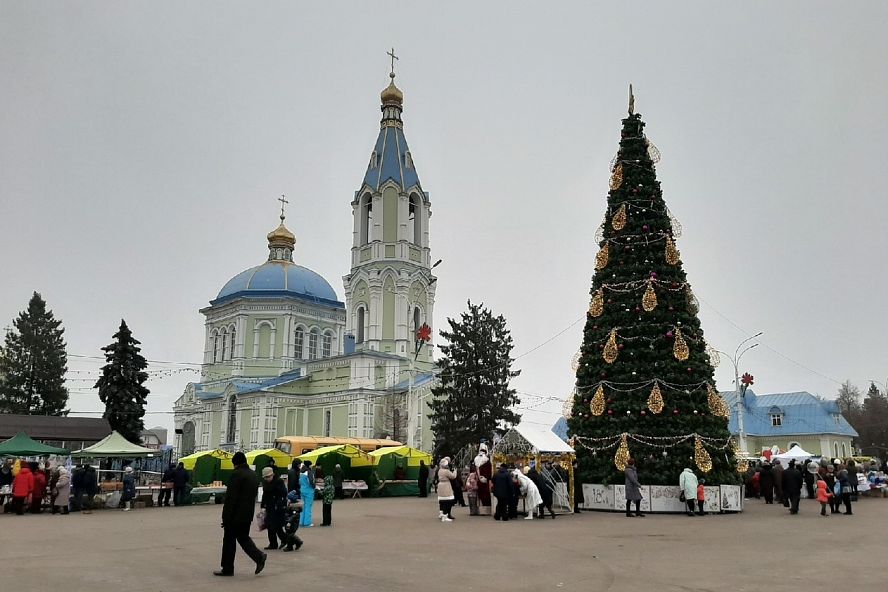 Никольская ярмарка в Рассказово (2019) - 3