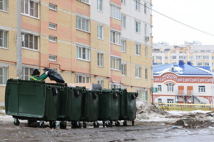 Зачем в Тамбове фотографируют мусорные контейнеры - 1